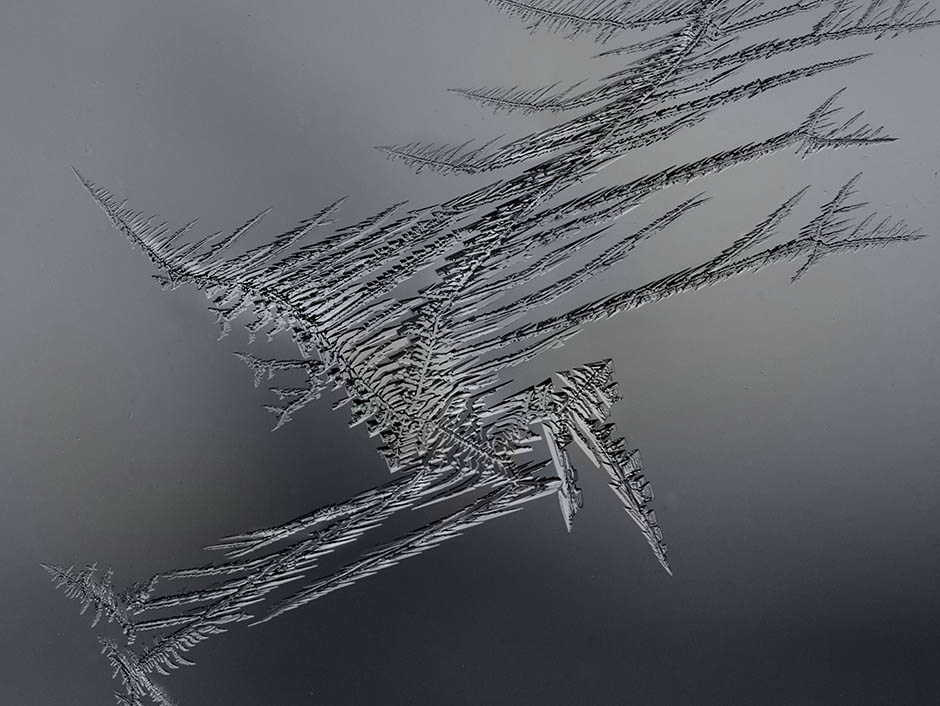 Eisblumen in Form eines Vogels